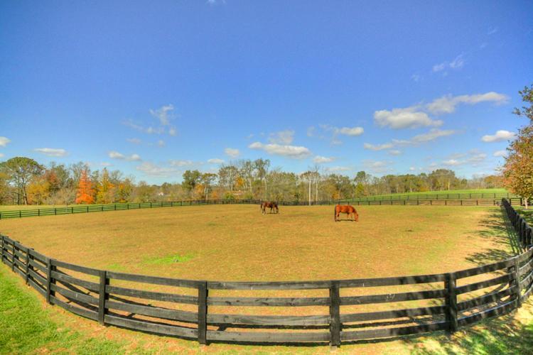 Bluegrass Country Estate La Grange Exterior photo